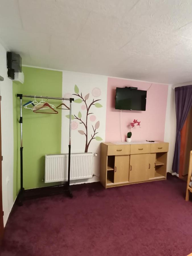 Apartman Ve Mlejne Nová Bystřice 外观 照片