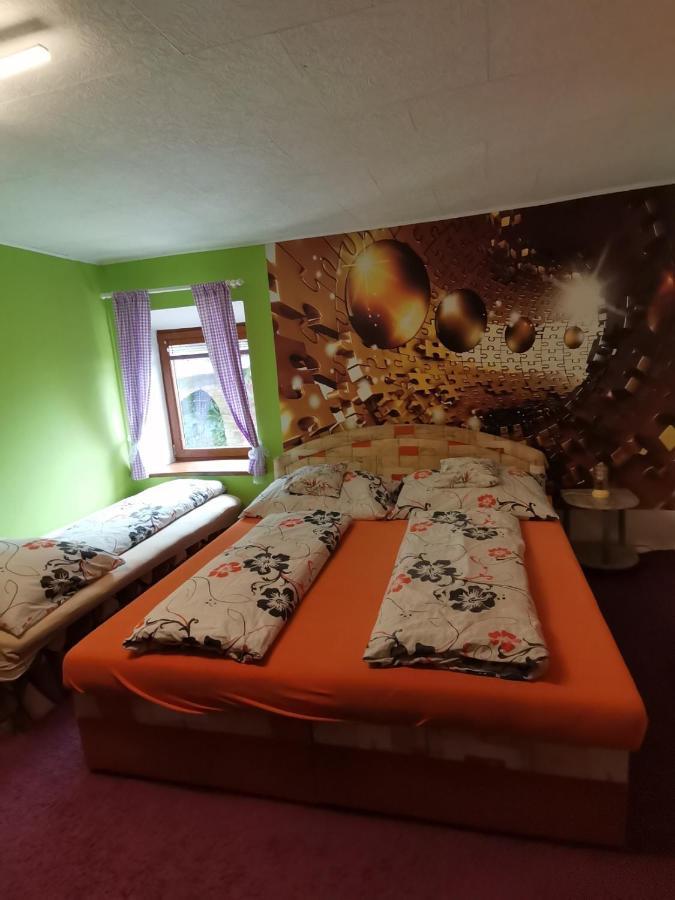 Apartman Ve Mlejne Nová Bystřice 外观 照片