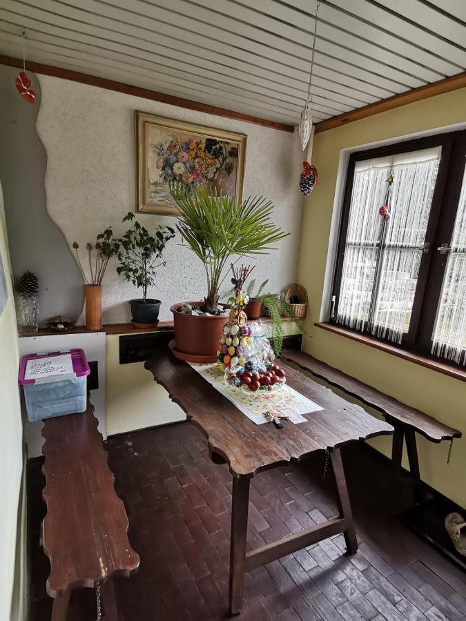 Apartman Ve Mlejne Nová Bystřice 外观 照片