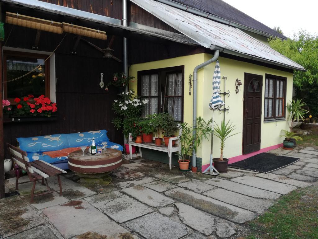Apartman Ve Mlejne Nová Bystřice 外观 照片
