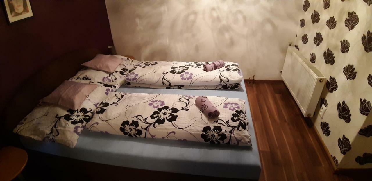 Apartman Ve Mlejne Nová Bystřice 外观 照片